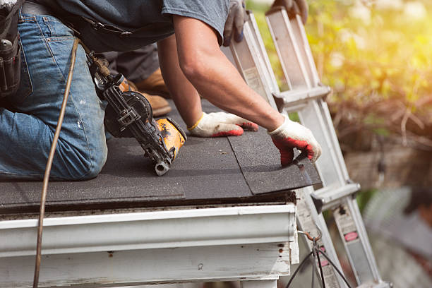Best Roof Repair Services  in Brush, CO
