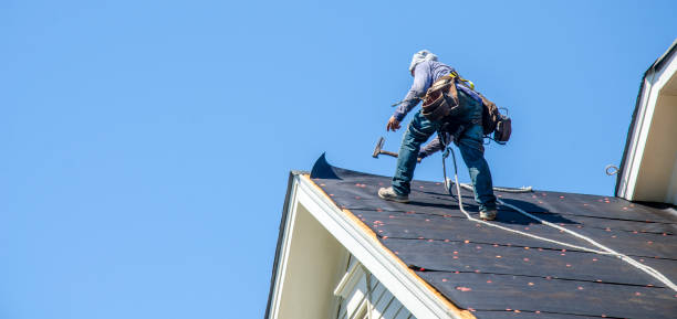 Professional Roofing Contractor in Brush, CO